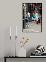 funny Street scenes Poster och Canvastavla