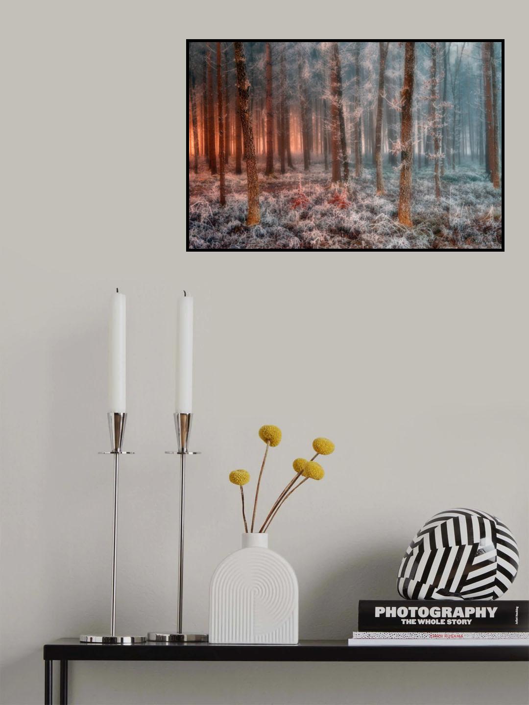 Ice and Fire Poster och Canvastavla