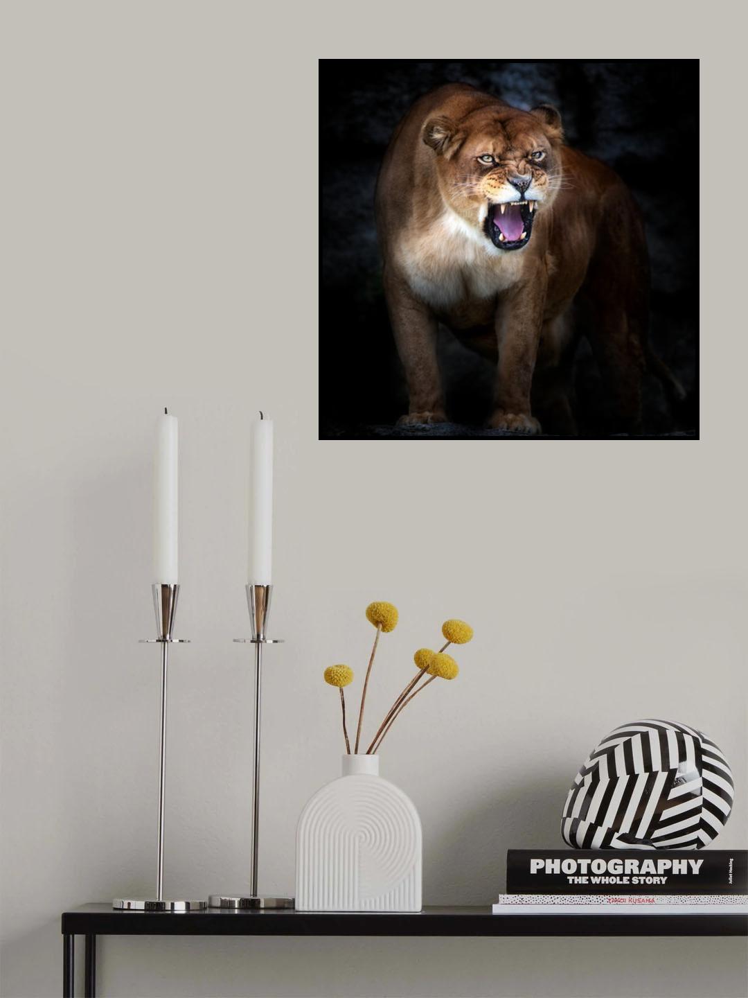 Lion portrait Poster och Canvastavla