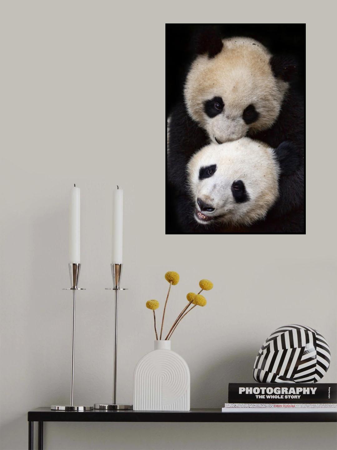Brothers Poster och Canvastavla