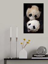 Brothers Poster och Canvastavla