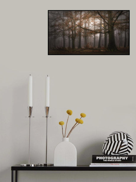 Foggy memory  of the past Poster och Canvastavla