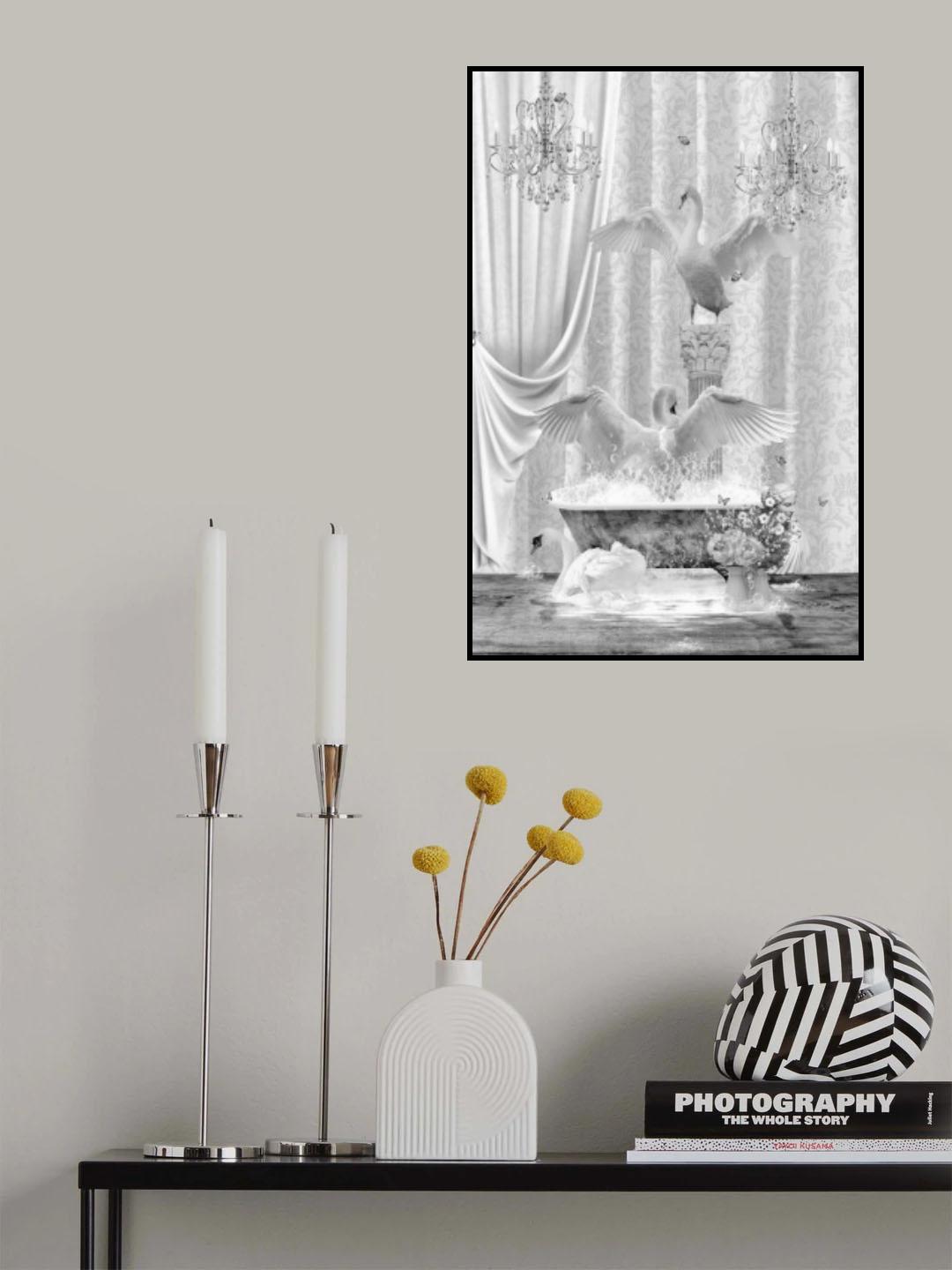 Three Swans &amp; Bubbles Black &amp; White Poster och Canvastavla