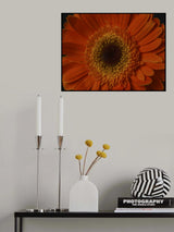 beautiful flower Poster och Canvastavla