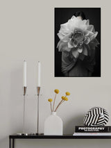 White Flower Head 3 Poster och Canvastavla
