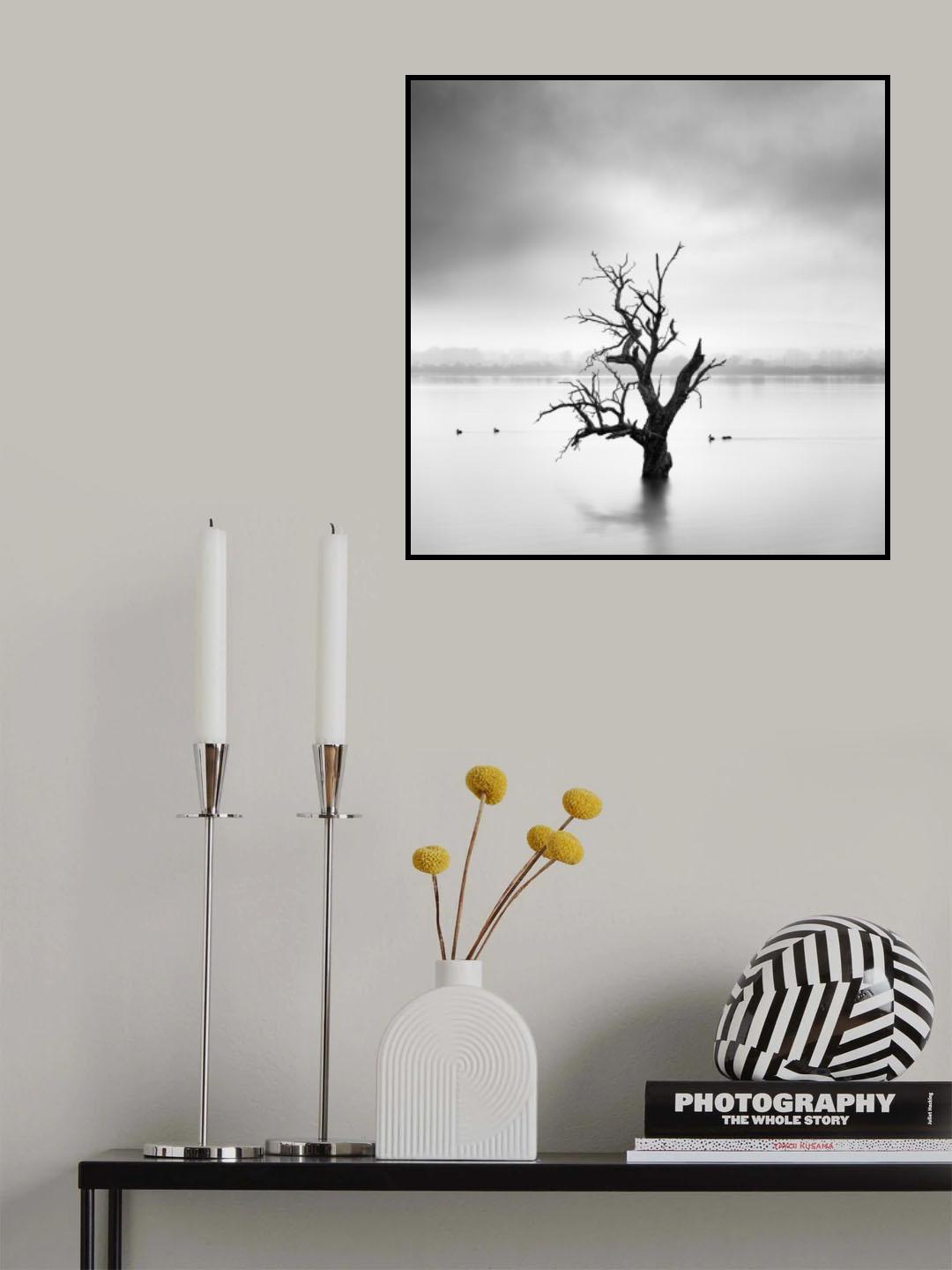 Land of Silence Poster och Canvastavla