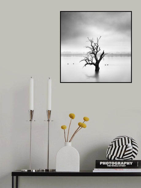 Land of Silence Poster och Canvastavla