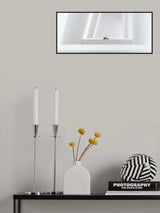 . Poster och Canvastavla