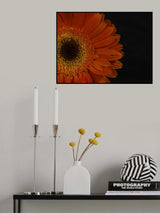 beautiful flower Poster och Canvastavla