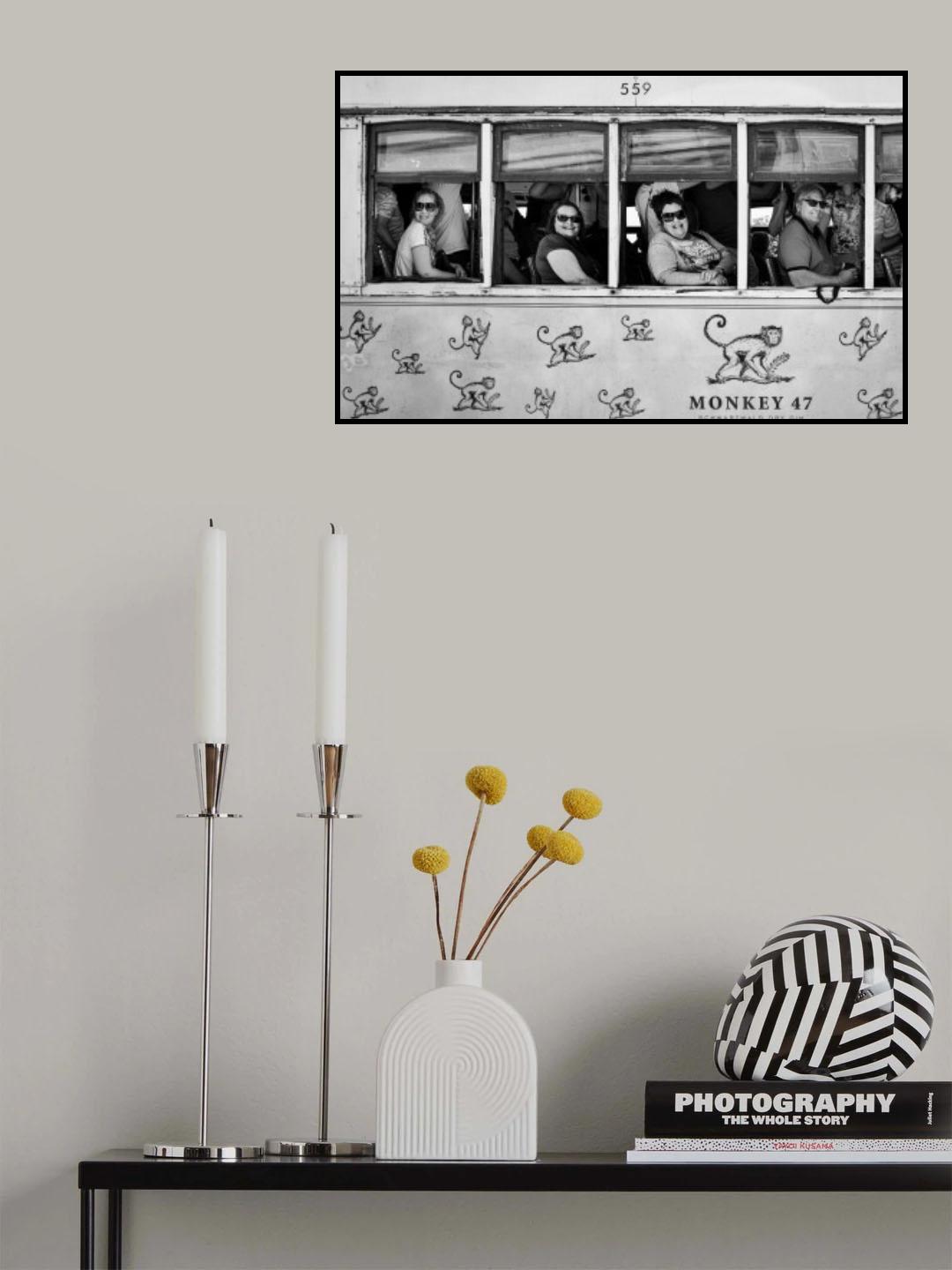 Monkeys Poster och Canvastavla
