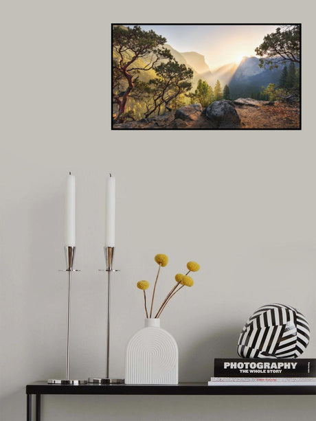 Yosemites Secret Poster och Canvastavla