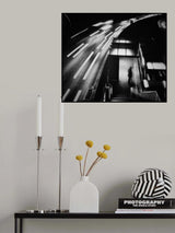 City Lights Poster och Canvastavla