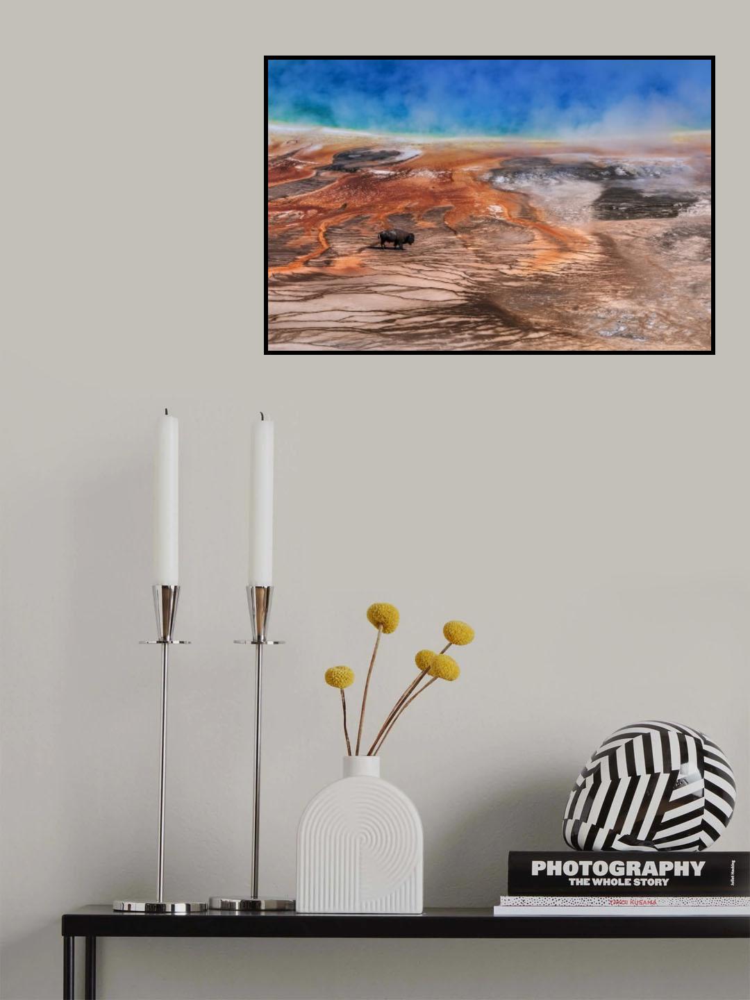 Bison Poster och Canvastavla