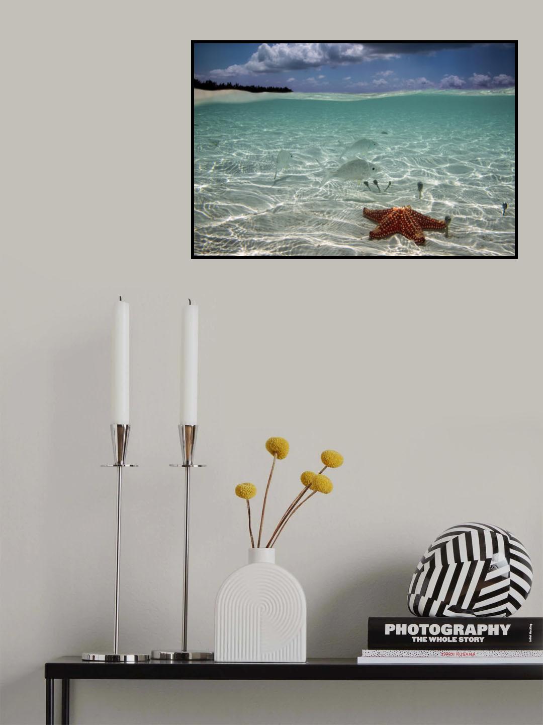 Underwater Poster och Canvastavla