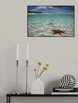 Underwater Poster och Canvastavla