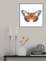 Butterfly 27 Poster och Canvastavla