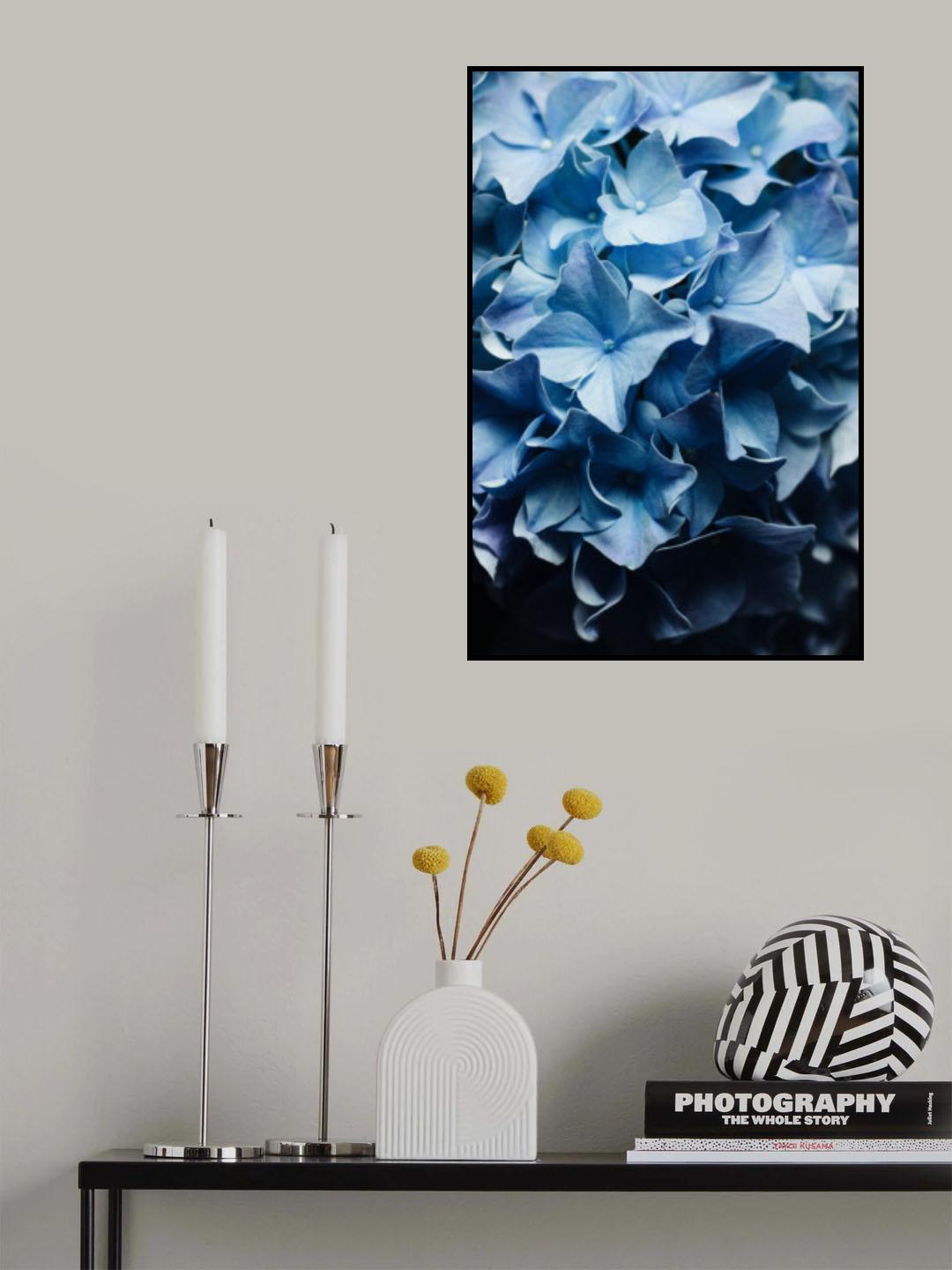 Pretty Sight - Blue Hydrangea Poster och Canvastavla