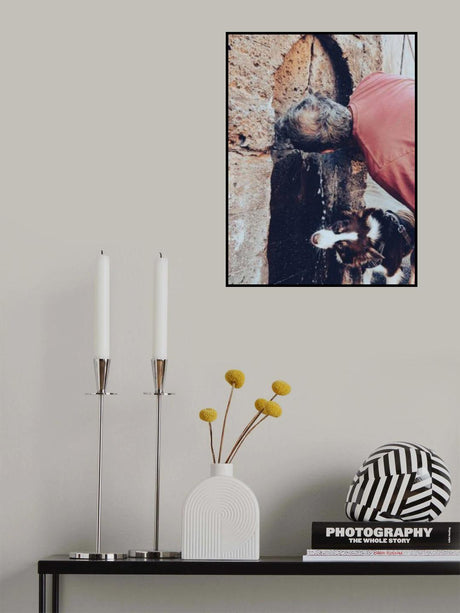 Thirsty friends Poster och Canvastavla
