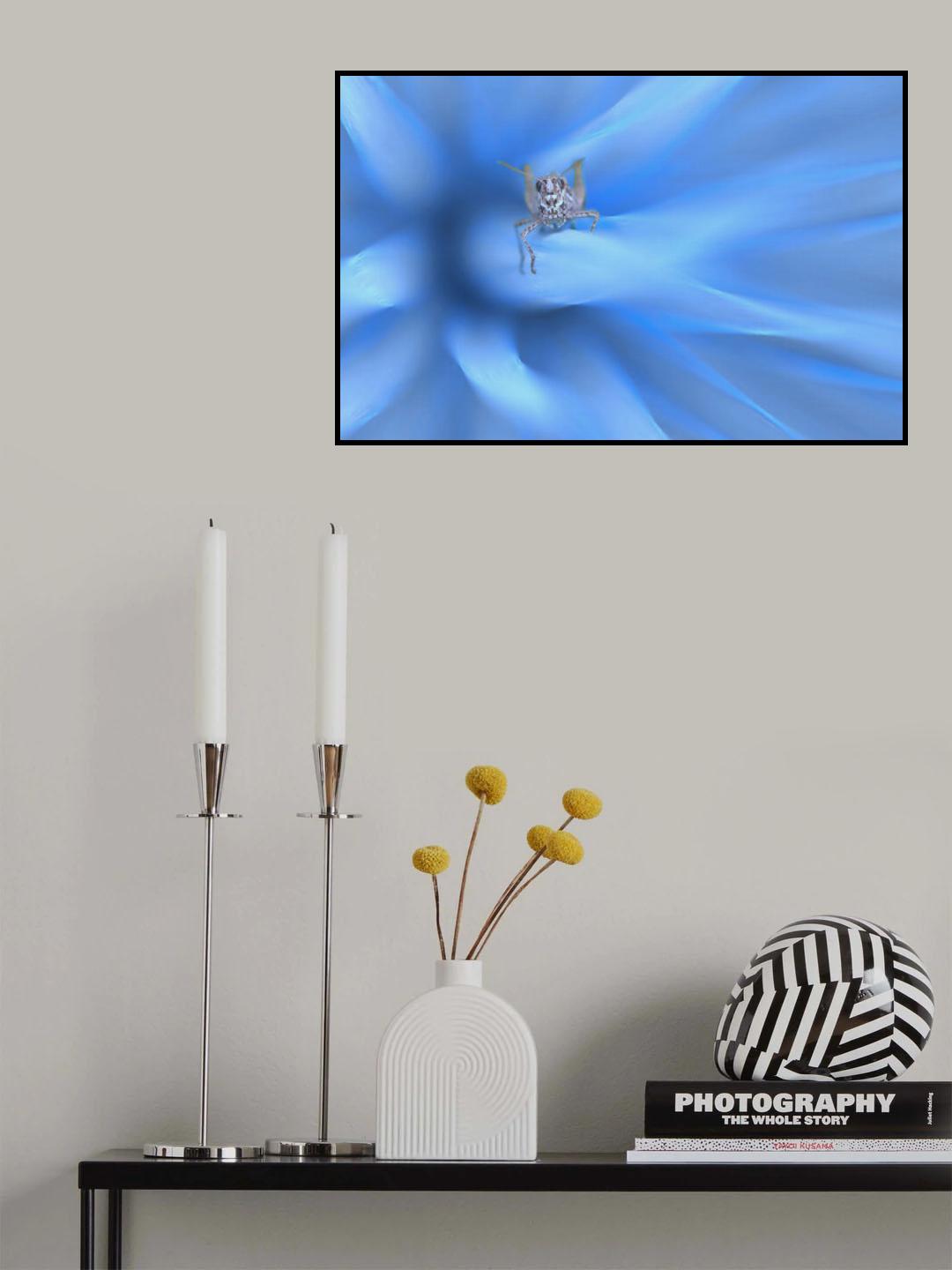 Rocket launch... Poster och Canvastavla
