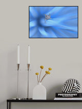 Rocket launch... Poster och Canvastavla