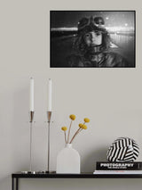 Pilot Poster och Canvastavla