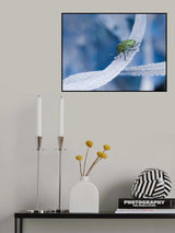 Poster och Canvastavla
