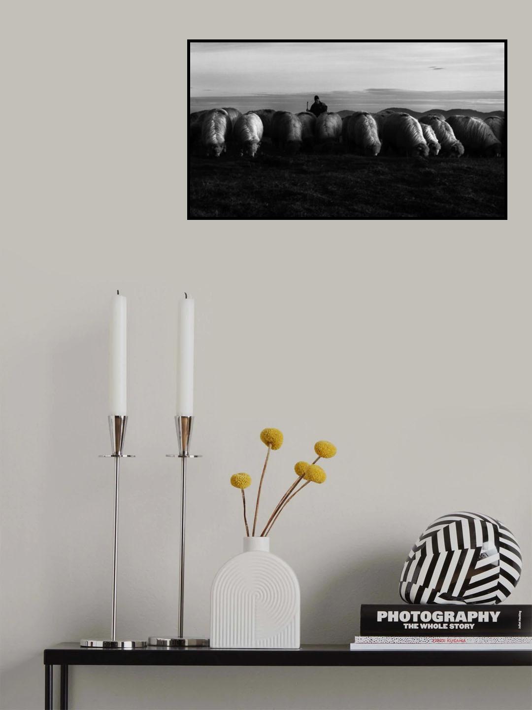 Grazing Poster och Canvastavla