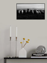 Grazing Poster och Canvastavla