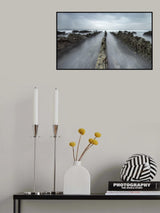 SHARK Poster och Canvastavla