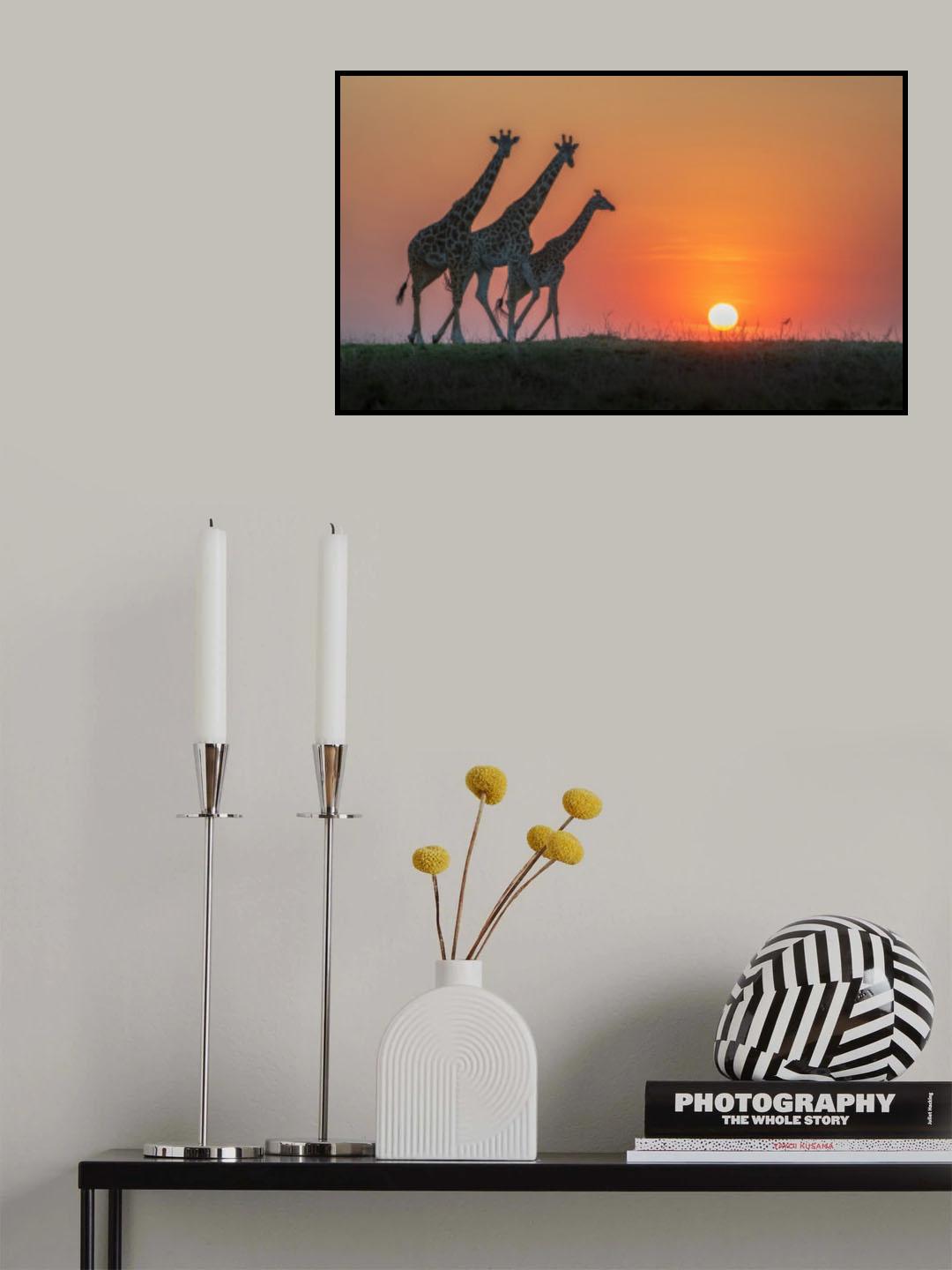 Shape of Africa Poster och Canvastavla