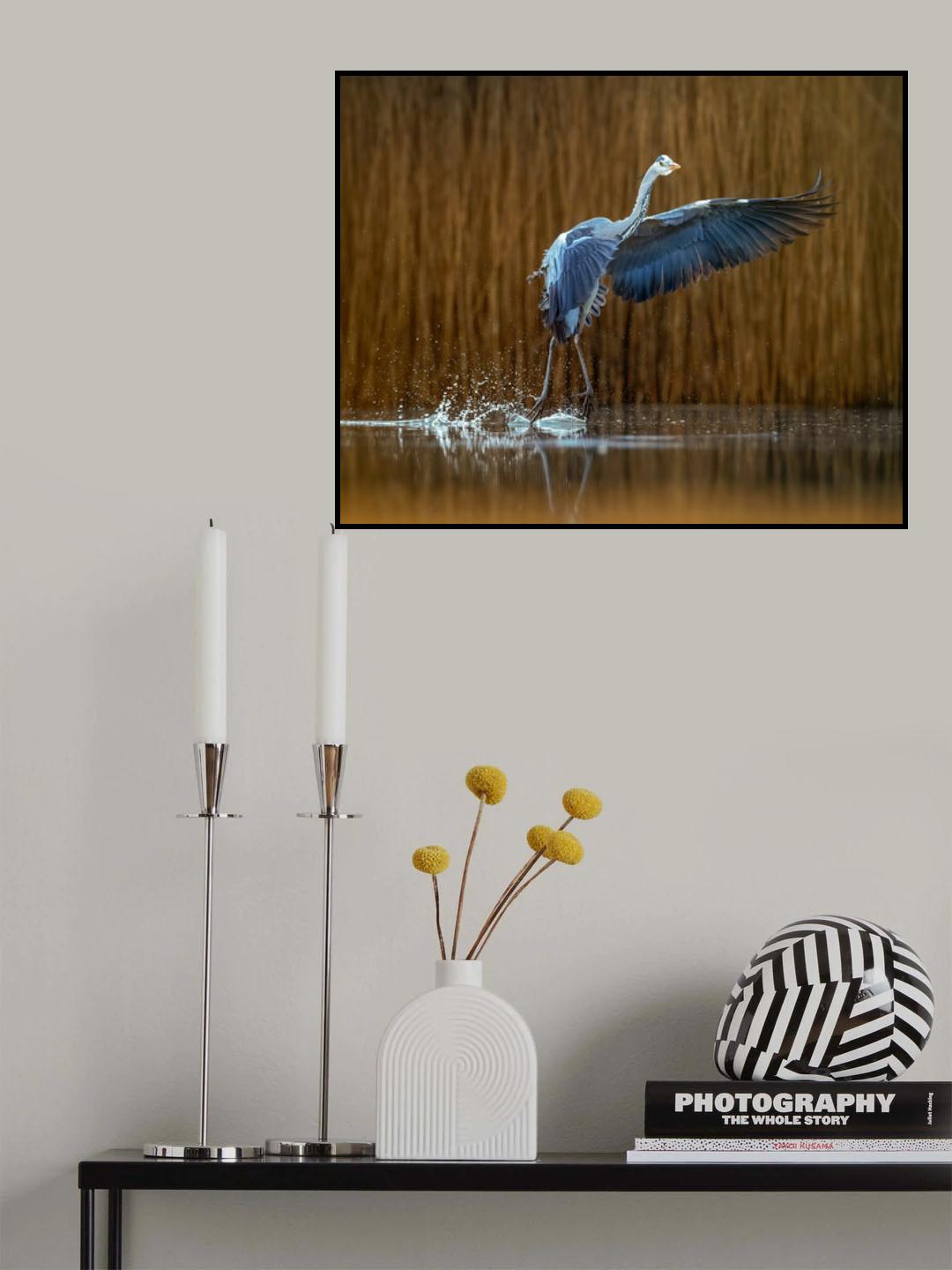 Ballet on the water Poster och Canvastavla