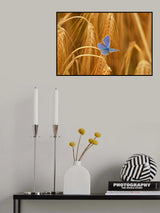 Colour contrast Poster och Canvastavla