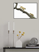 tree climbing lesson Poster och Canvastavla