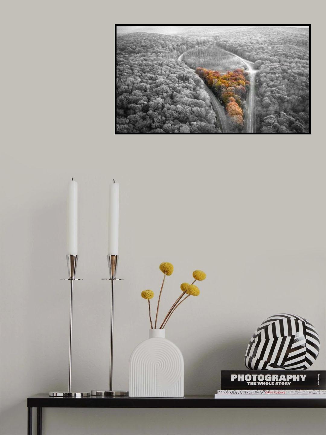 Autumn memory Poster och Canvastavla