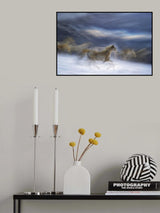 gallop in the snow Poster och Canvastavla