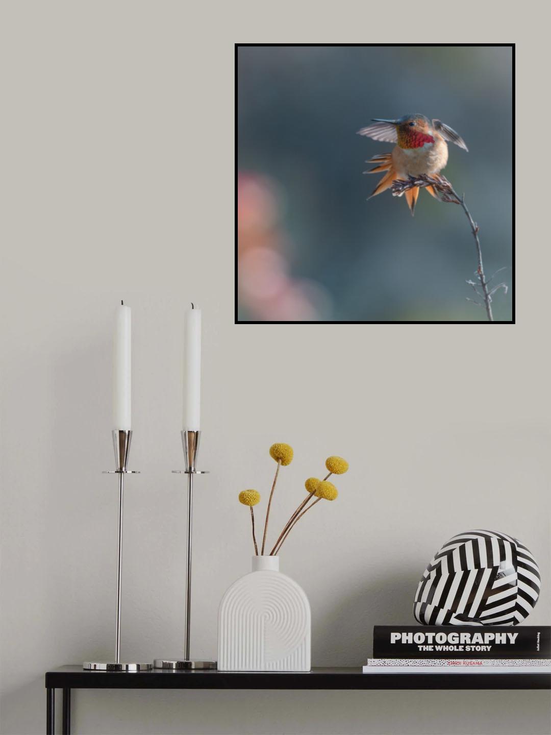 Transformation Poster och Canvastavla