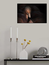 Flamingo Poster och Canvastavla