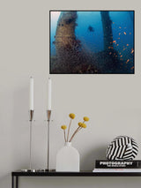 Under the bridge Poster och Canvastavla
