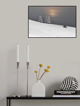 Winter Trees Poster och Canvastavla