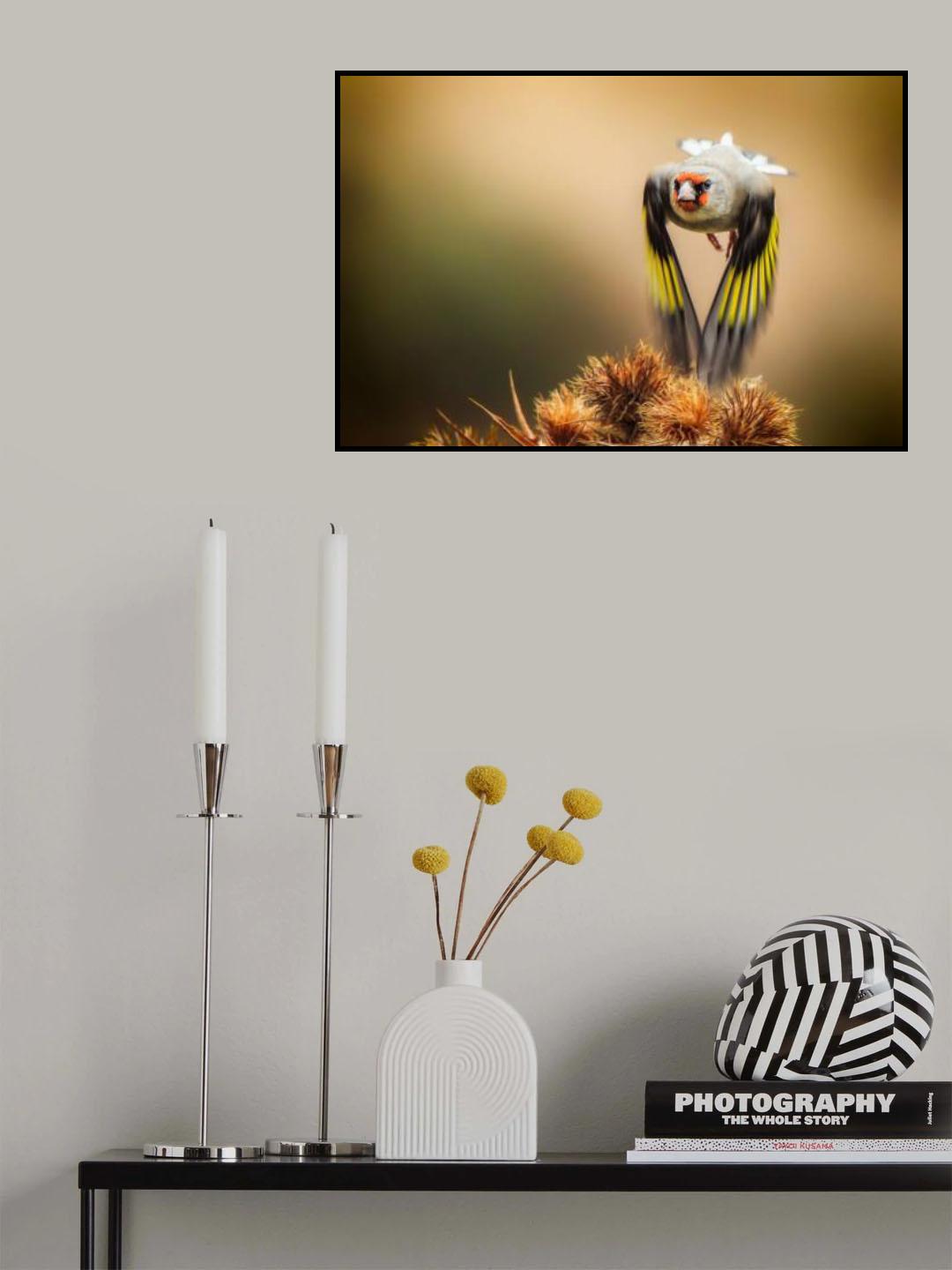 Goldfinch Poster och Canvastavla