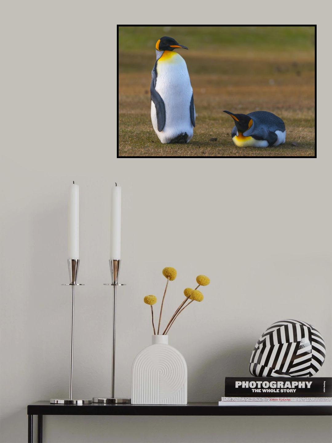 friends in the grass Poster och Canvastavla