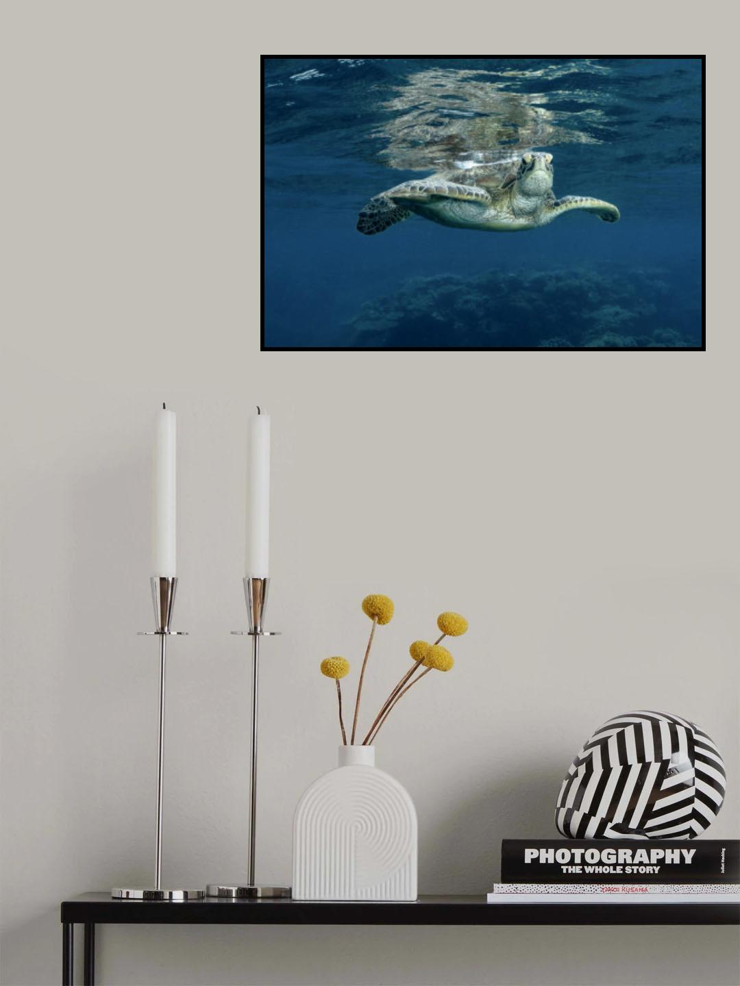 Surface Poster och Canvastavla