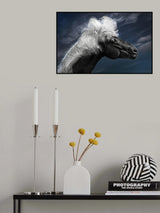Blowing in the Icelandic Wind Poster och Canvastavla