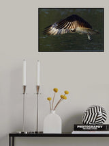 Towards the sun Poster och Canvastavla