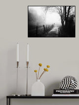 Left The Cat Poster och Canvastavla