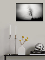 shadow dancer Poster och Canvastavla