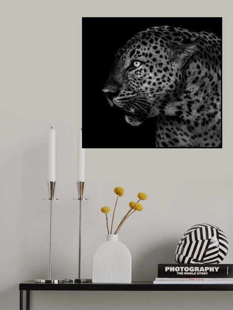 Poster och Canvastavla