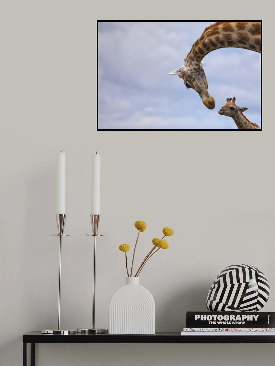 Tenderness Poster och Canvastavla