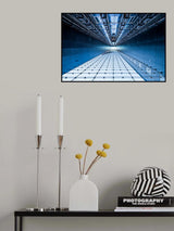Going up or down ? Poster och Canvastavla