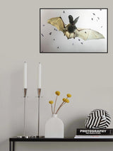 Bat Poster och Canvastavla
